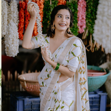 Olive chain Saree